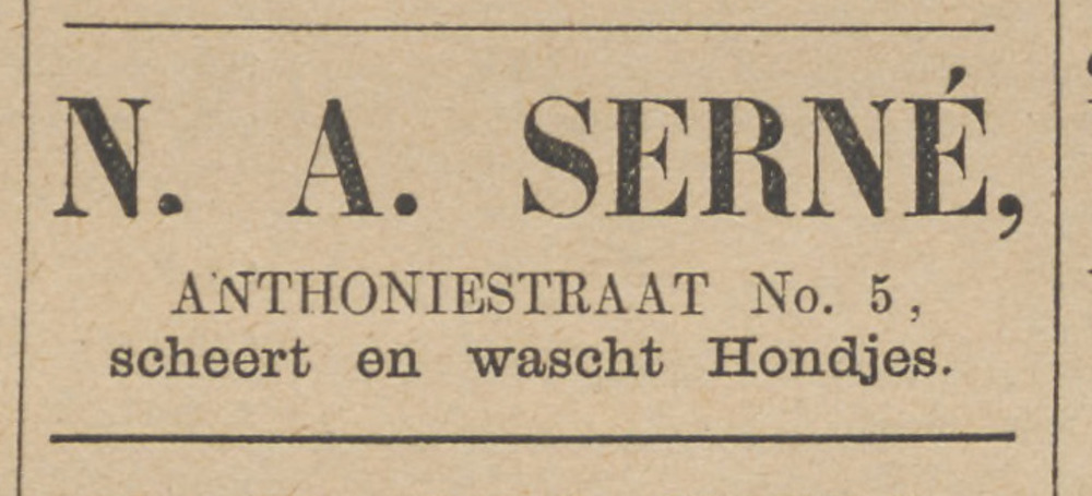 advertentie N.A. Serné 