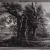 Oude boom (22,1 x 28,6 cm), aquarel, pen en inkt, bron: Provinciaal Overijssel Museum (inv. nr. 1387)