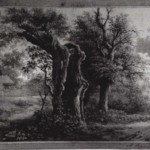 Oude boom (22,1 x 28,6 cm), aquarel, pen en inkt, bron: Provinciaal Overijssel Museum (inv. nr. 1387)