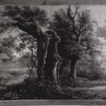 Oude boom (22,1 x 28,6 cm), aquarel, pen en inkt, bron: Provinciaal Overijssel Museum (inv. nr. 1387)