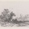 Collectie Rijksmuseum