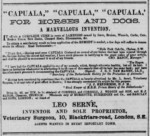 KRANT-18870103-TheDailyIpswichJournal